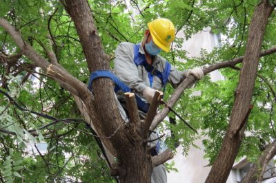 为台区进行树障清理保障夏季高温用上放心电