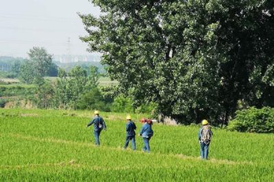 汉中供电公司全面铺开输电线路特巡工作