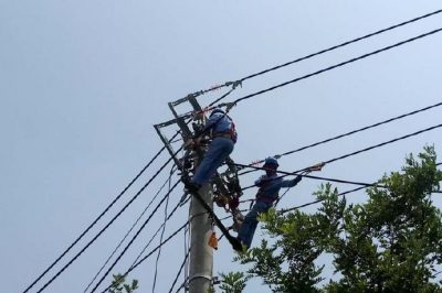 电网线路改造忙，迎峰度夏有保障