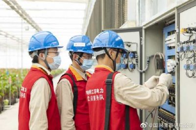为大棚电力线路、电气化设备进行缜密排查和整改消缺