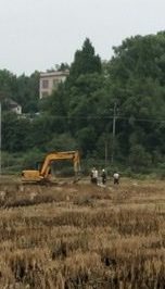 大路坪供电所农改施工队在新建蕉林村东洋湾台区进行立杆作业