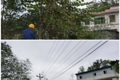 对10千伏禾腊线消水坨台区、石家寨台区进行巡视