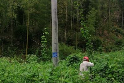 配电运行员清理10千伏黄陶线#1050号杆通道内的藤蔓和树障