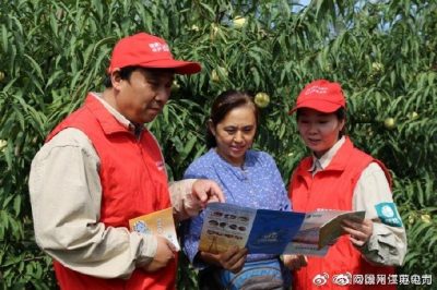 迎双节 助农收 保供电