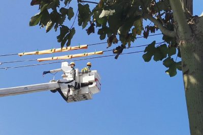 带电安装线路状态指示仪作业