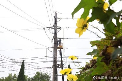 高空作业 保障电网稳定运行