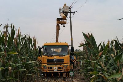 带电拆除旁路电缆 保障秋收用电无忧