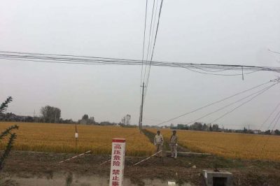 积极组织台区经理对线路设备进行专项巡视检查