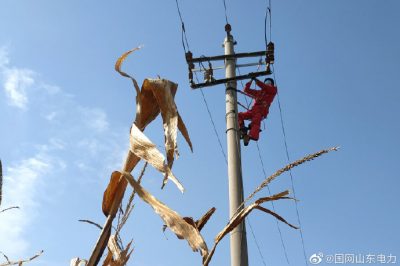对10千伏春兴线海防支线进行清扫、检修