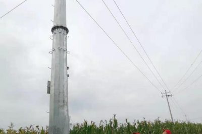 对配电变压器、增压开关、线路接点等进行巡视及测温工作