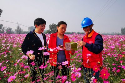 对玉山店村百亩格桑花所在线路进行全方位的巡视排查