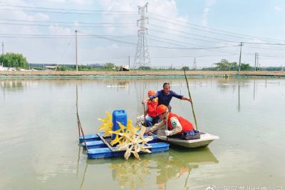 为蟹农赵林弟夫妇的蟹塘开展“拉网式”隐患排查