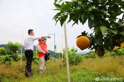 助农增收 金秋助农上门服务