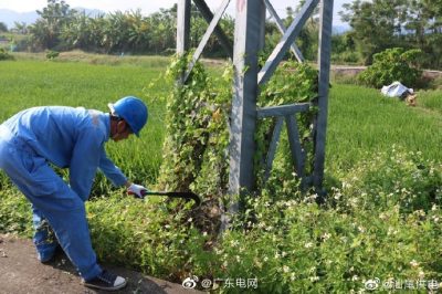 清除缠绕藤蔓，为杆塔“理发”