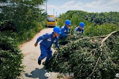 对辖区内配网线路进行特殊巡视