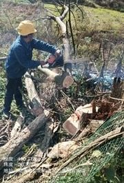10千伏法高线新泽村火岩上台区进行低压线路砍青扫障工作