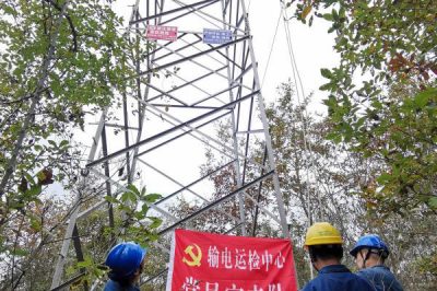 110千伏洋葛线停电更换合成绝缘子工作