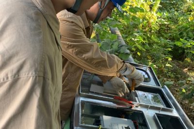 顺利完成海虞地区5G基站接电工作