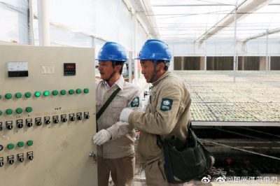 供电员工巡查现代化农业园