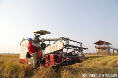 助力特色田园乡村秋收用电安全