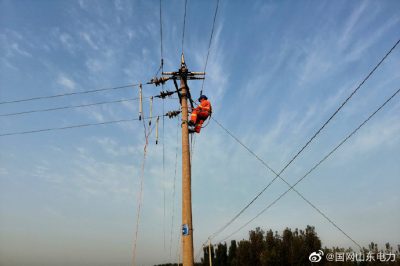 对新建10千伏罗树线进行割接