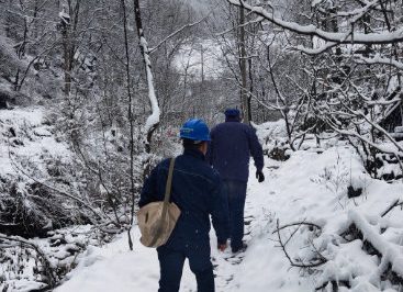 冒雪抢修，只为尽早恢复供电
