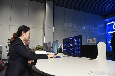 国网重庆铜梁供电公司能源数据中心助力人口精准普查
