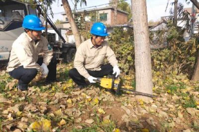 对辖区内10KV线路通道内树木进行彻底清理