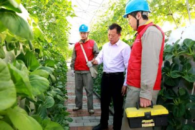 农村配网改造推动农业转型升级