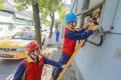 电力护航让“阳光”成为村民致富的“聚宝盆”