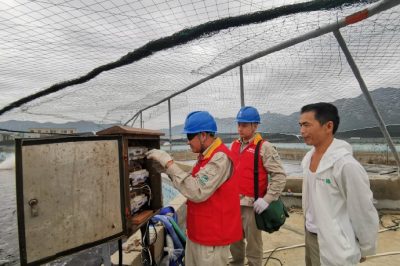 对宝应湖农场一大队2号综合变共54户表计进行更换，