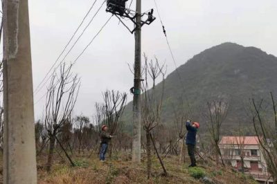 农电检修人员对小石线、高石线等10千伏线路进行集中巡视测温