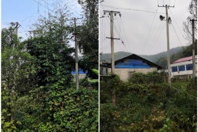对所辖区域内6条10千伏线路通道再次进行巡视