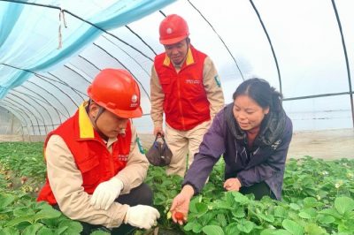 对草莓大棚用电线路、排灌设备进行检查维护