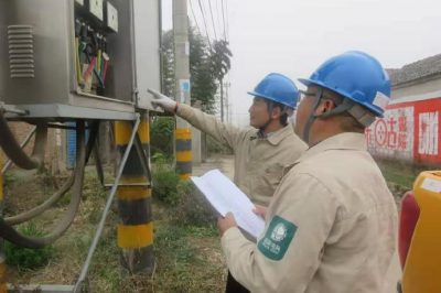 对高、低线路设备开展特巡