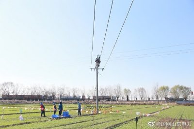 对10千伏青木线开展线路改造升级工作