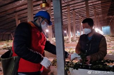 为果蔬大棚检查供电线路、开关、照明灯具，以及水泵、卷帘机等设备