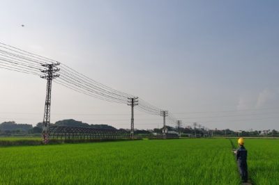 东莞东城周屋水稻示范区 开展配网线路精细化巡检