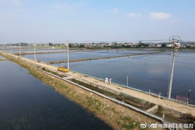 涟水县金绿园水产养殖场架设10千伏线路