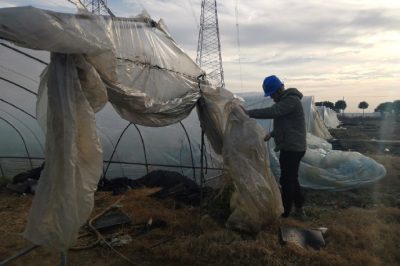 直流500千伏龙政线开展防异物特巡